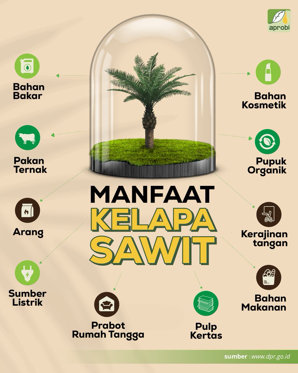 aprobi_id's tweet photo. Dari pangan hingga energi, kenali manfaat kelapa sawit yang mendukung ekonomi dan inovasi berkelanjutan!
#BanggaIndonesiaHijau
#RenewableEnergy
#EnergiNegeriku
#SukseskanBioFuels https://t.co/7scpi6zw5M