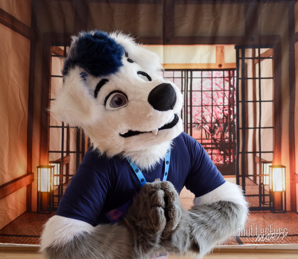 Hungarian Diva Doggo (@warriorautobot) on Twitter photo Have a great weekend and #FursuitFriday !
I'm sending virtual hugs for every cute furries! ๐ค๐๐
๐ธ: <a href="/skatefolfderg/">Martyโ๏ธ</a>
#furry #fursuit #furries #furrycommunity #furryfandom Have a great weekend and #FursuitFriday !
I'm sending virtual hugs for every cute furries! ๐ค๐๐
๐ธ: <a href="/skatefolfderg/">Martyโ๏ธ</a>
#furry #fursuit #furries #furrycommunity #furryfandom
