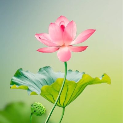 dijith_l's tweet photo. #NewProfilePic https://t.co/VPsa486XJV