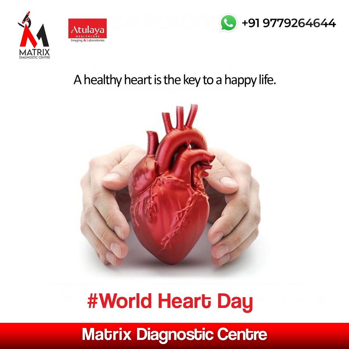 ❤️🤝This World Heart Day, let's support organizations working to improve heart health worldwide. Every little bit helps, and together, we can make a difference!

#SupportHeartHealth #WorldHeartDay #worldhealthday #hearthealth