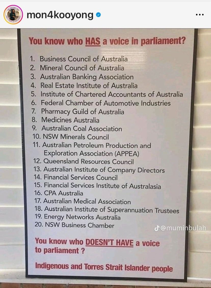 PeterWMurphy1's tweet photo. Independent MP @Mon4Kooyong makes a very important point about who currently has a voice to Parliament.

Aboriginal and Torres Strait Islander peoples deserve a Voice to Parliament on matters that affect them. #VoiceToParliament #VoteYes #Yes23 #auspol https://t.co/X03MlwtNPP