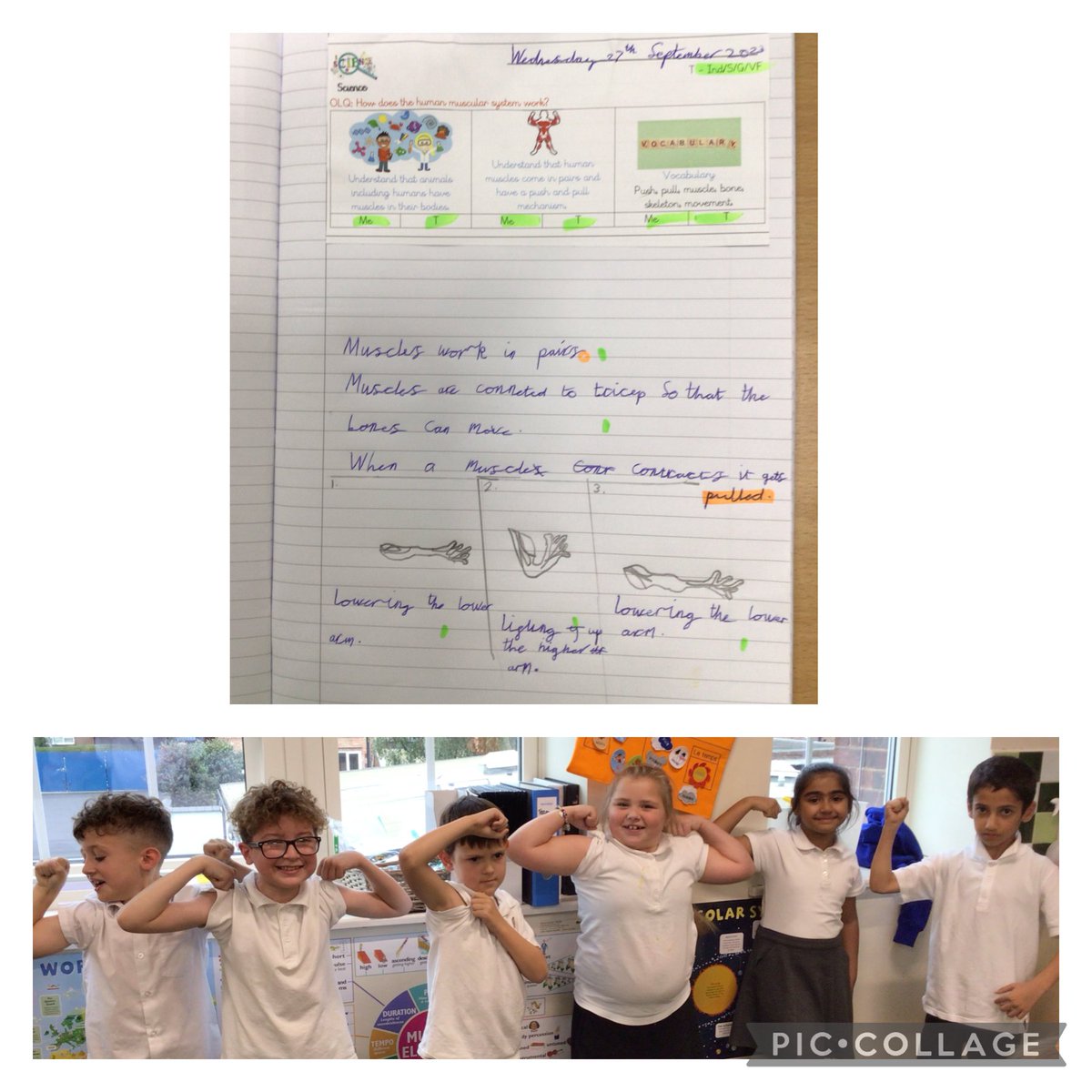 AshwoodYear3's tweet photo. In Year 3 this week in Science we have been learning about the muscles in our body. Our muscles work in pairs and use a push and pull mechanism to help us move. Look at how stong we are! #ASAscience https://t.co/xTSRK92PtB