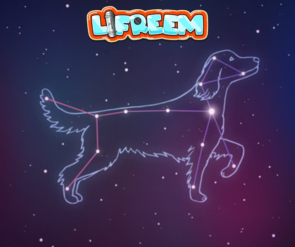 lifreem's tweet photo. Seal your stories in the stars with Lifreem! 🌌 Every narrative is a constellation, every emotion a galaxy. Chart your celestial journey now! #StellarStories #LifreemGalaxy

#memory @Lifreem #NFT #Art #moments #pets https://t.co/edopjdm0UL