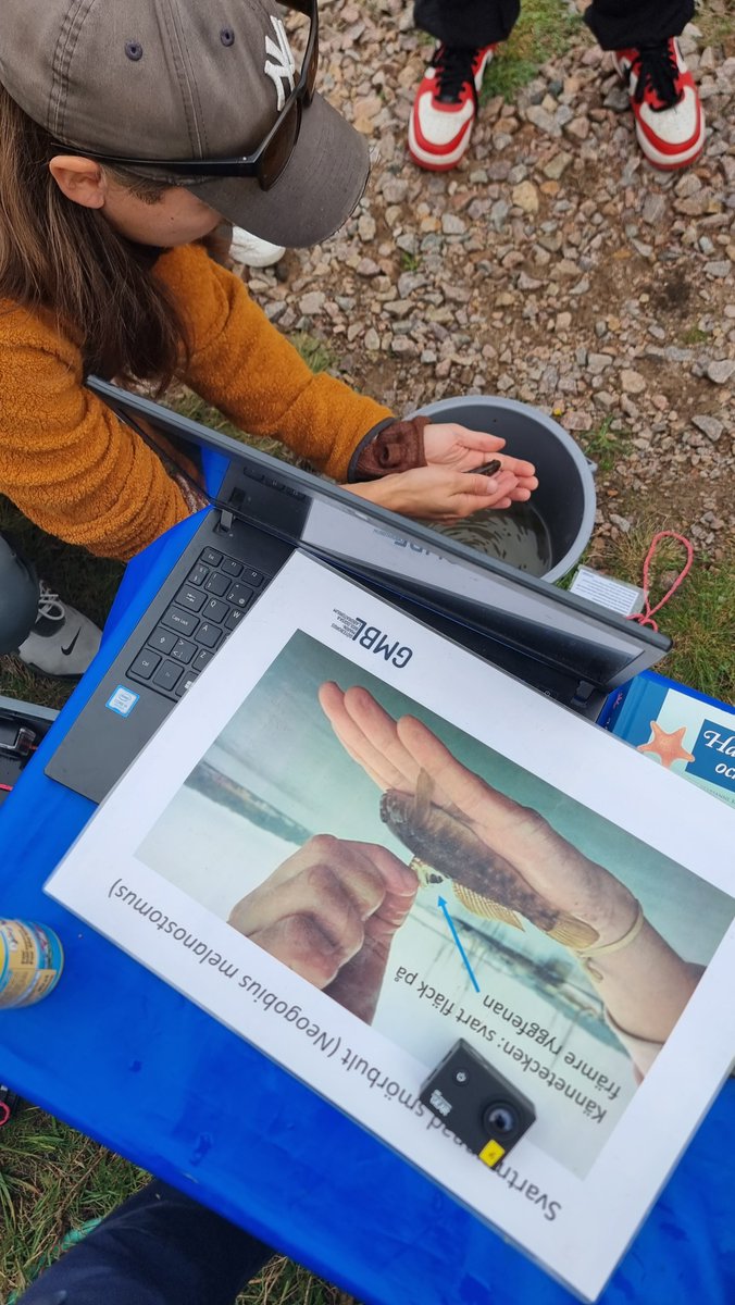 ClimateInvasives tweet media