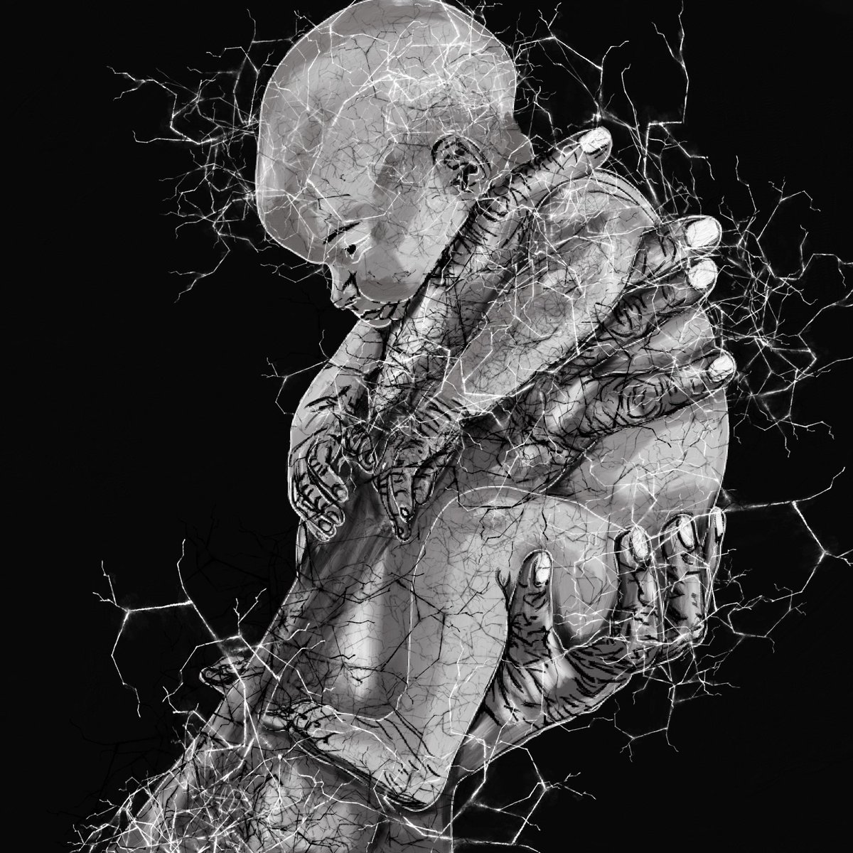 Malvaceae tweet media