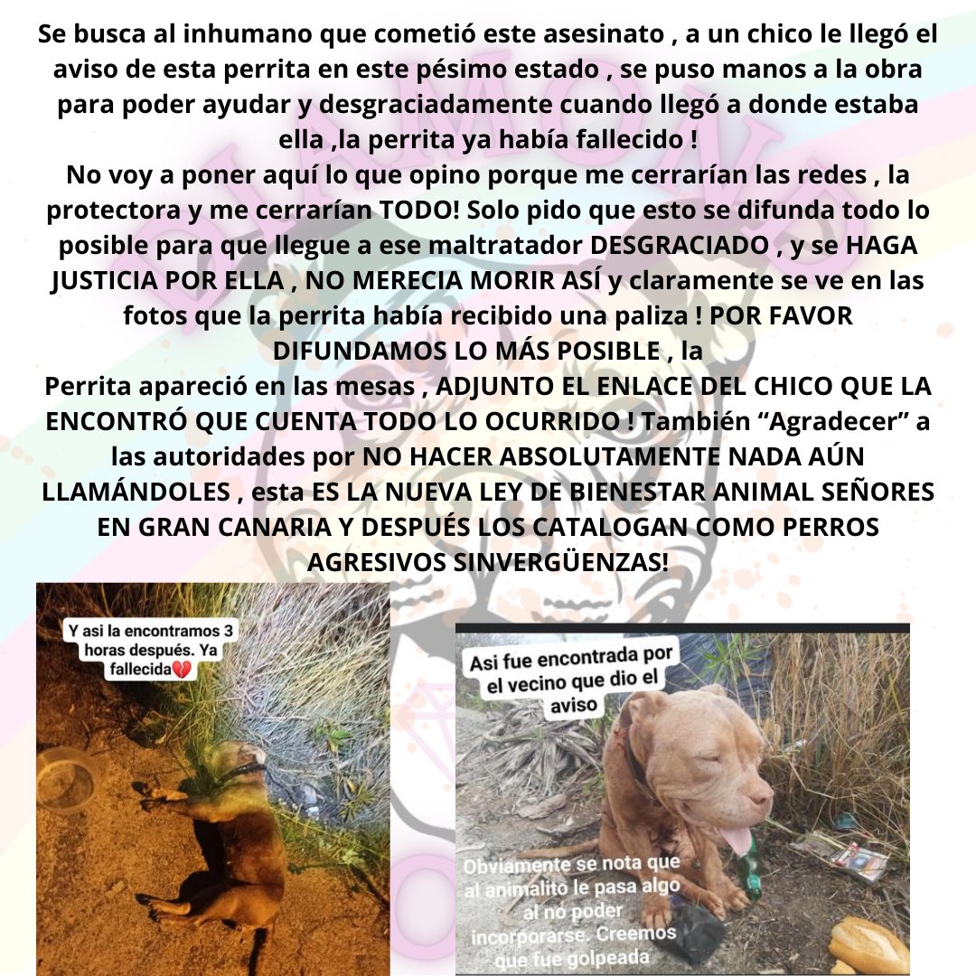 Diamonddogsgc's tweet photo. #maltratoanimal #justicia #carcelmaltratadores https://t.co/qC9kaCOkJg