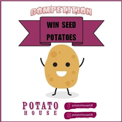 Win some seed potatoes for you AND a friend on our Facebook and Instagram pages facebook.com/PotatoHouseUK/ instagram.com/potatohouseuk/ Like 🥔Tag 🥔Share #seedpotatoes #whatwillyougrowin2024 #tattieholidays #gardencompetition #Tiptoptatties