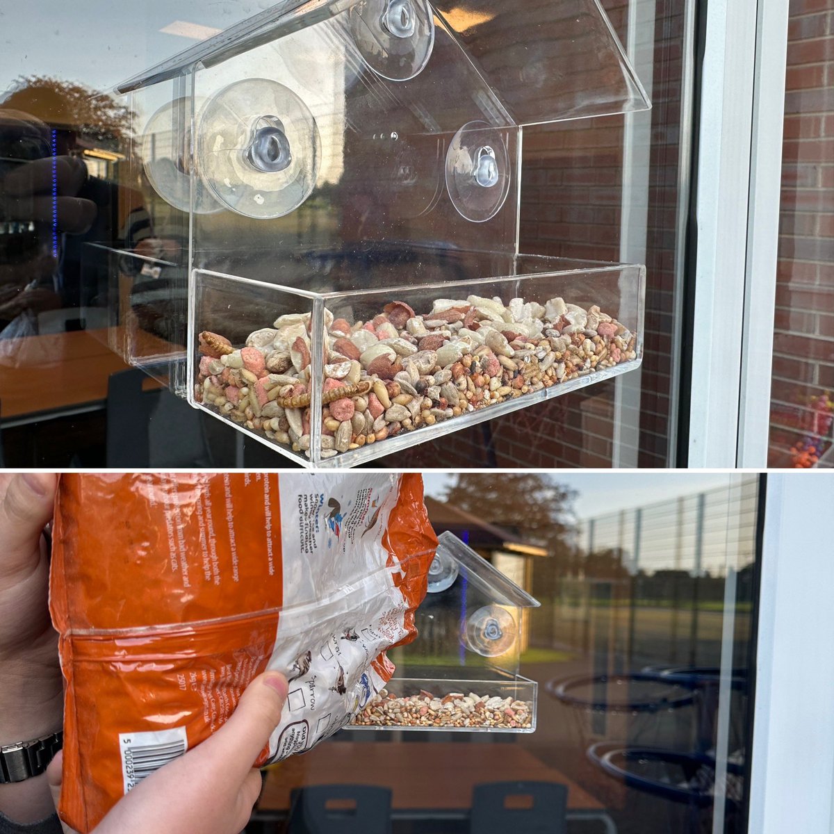 🐦 Helping the local wildlife 😊Thank you to those that have donated seeds😊