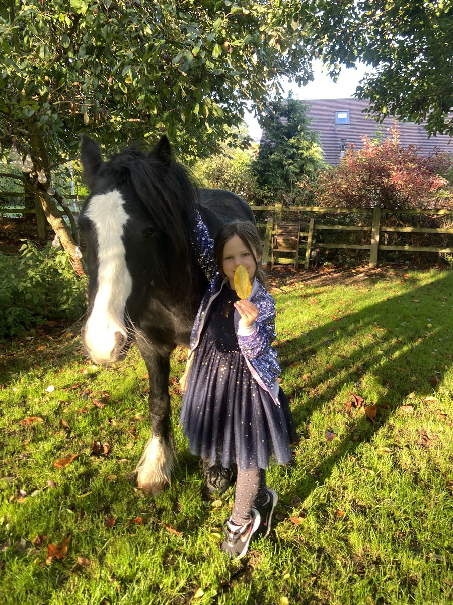 CayKendall tweet media