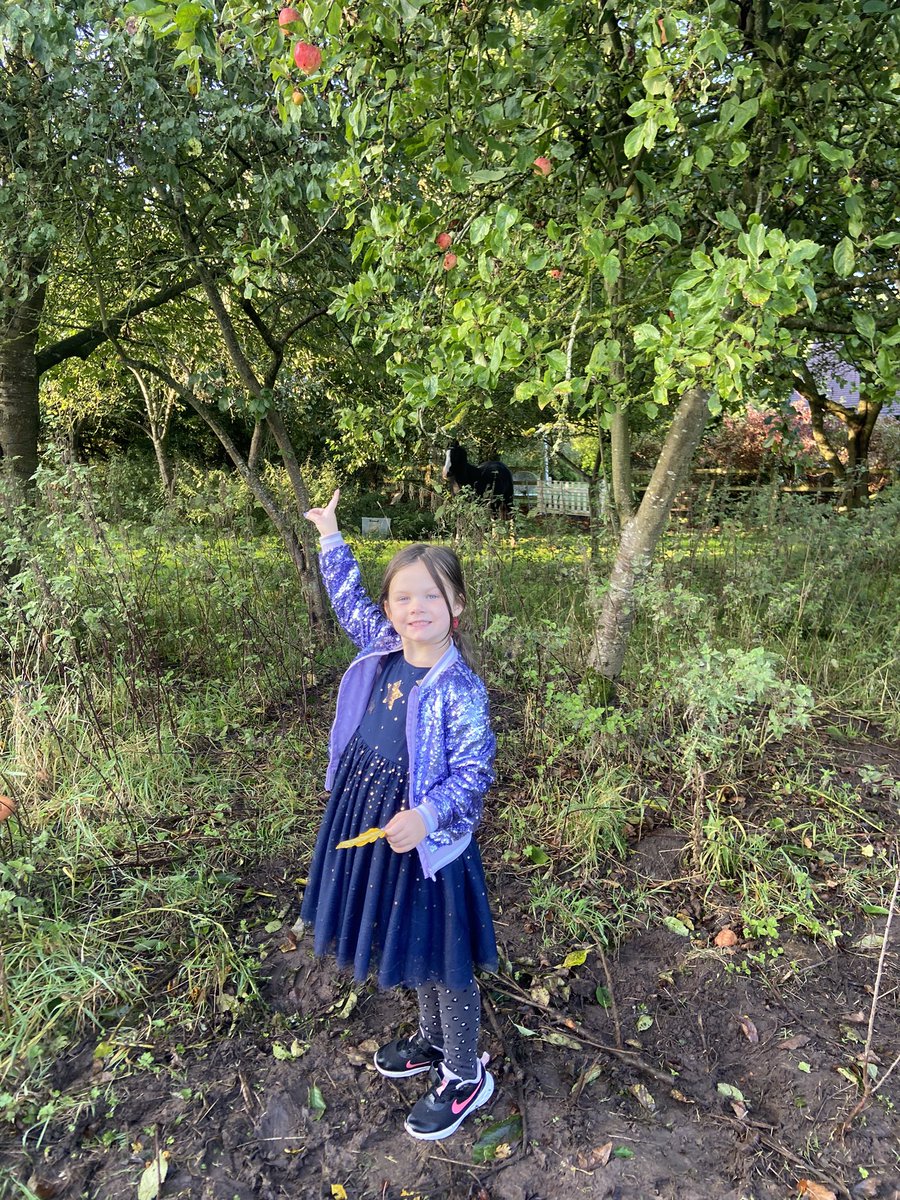 CayKendall tweet media