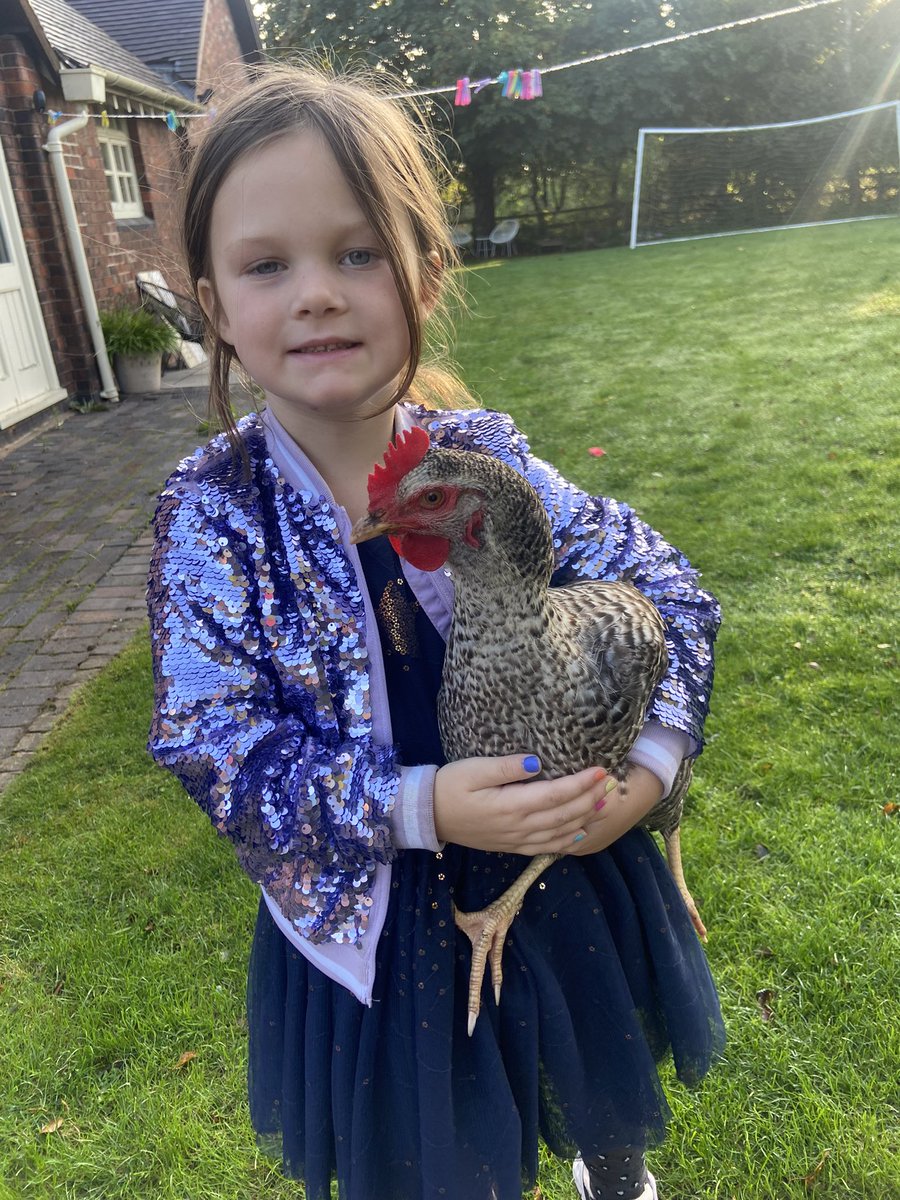 CayKendall tweet media