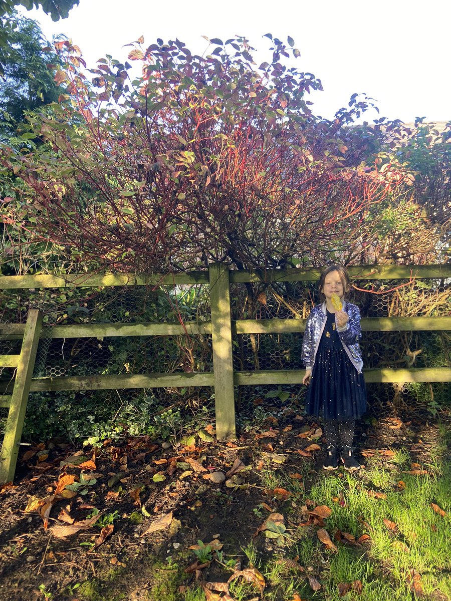 CayKendall tweet media