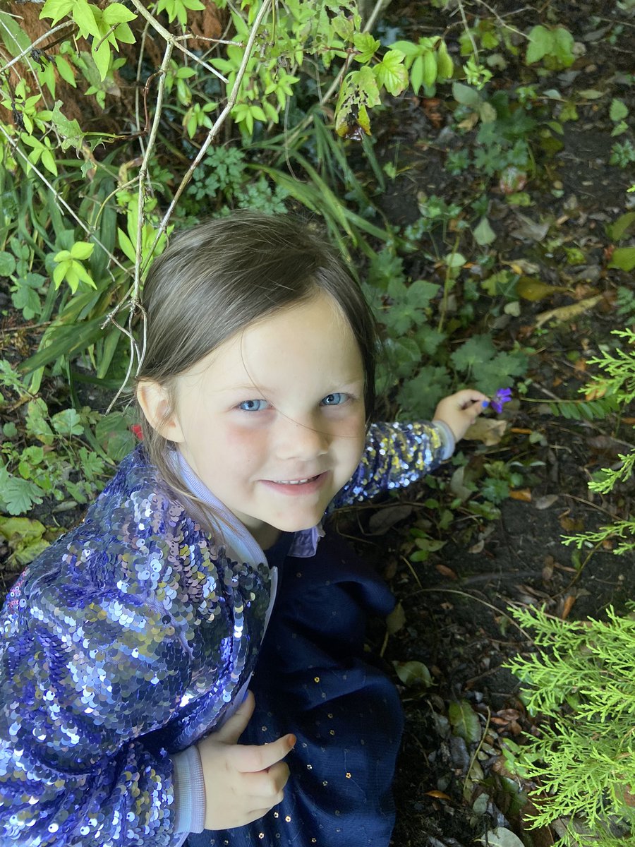 CayKendall tweet media