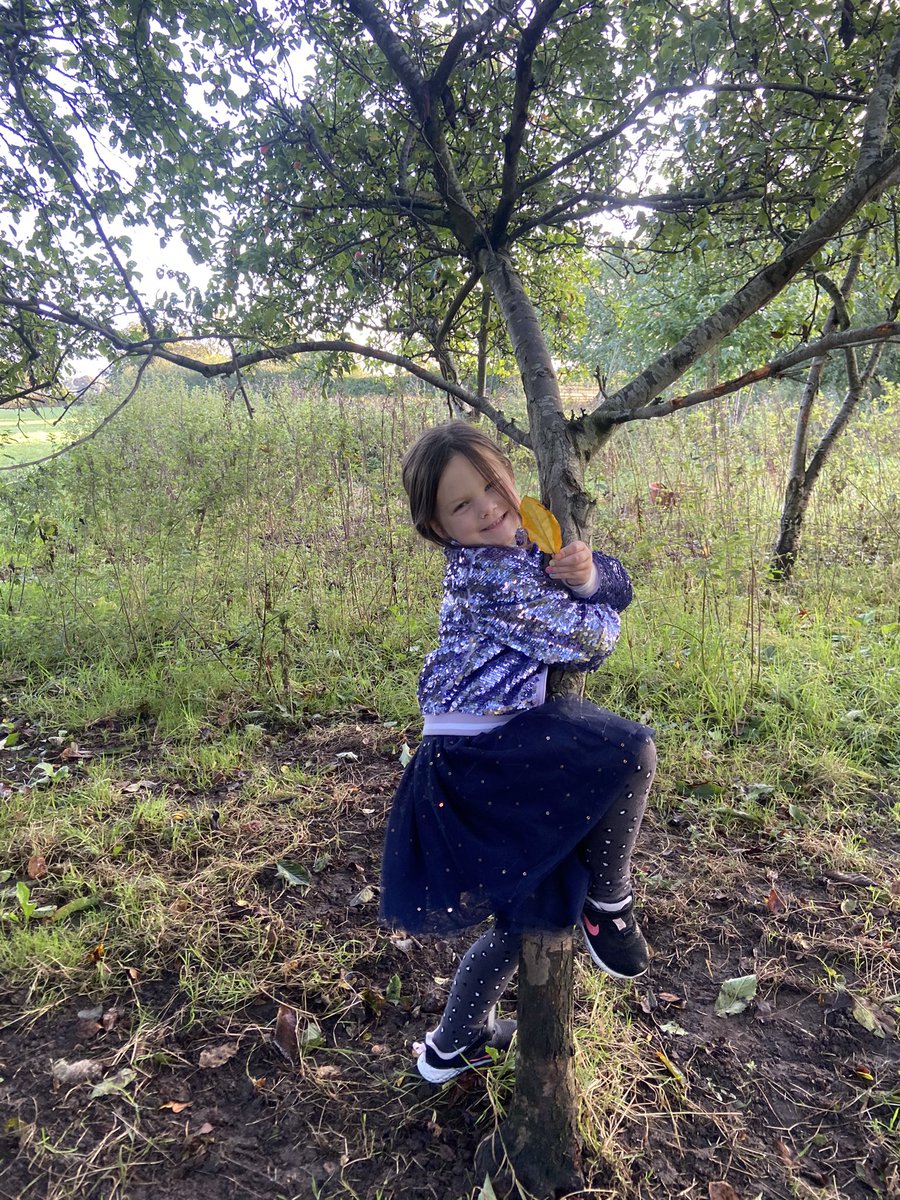 CayKendall tweet media