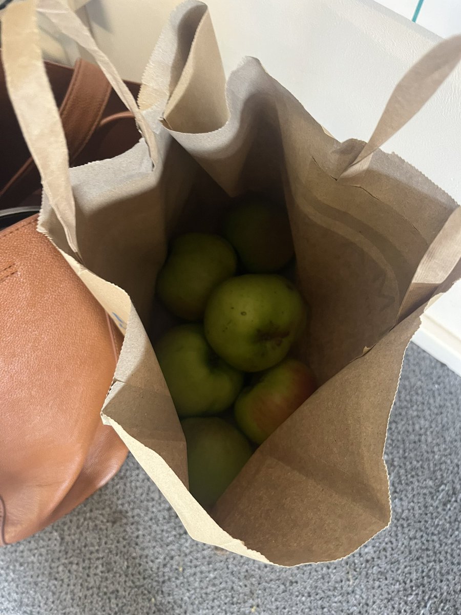 TJMColes's tweet photo. What a start to my Friday. A student bought me some fresh cooking apples from their garden 🥰 can’t wait for an autumnal weekend baking crumble 🍏 https://t.co/6SOmRr45xn