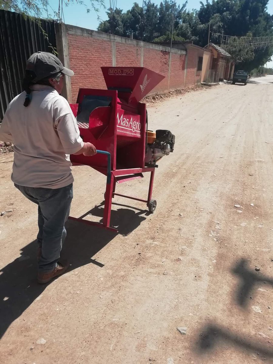 yashimvrc's tweet photo. Desgrane en #Oaxaca, alto grado de #micotoxinas y perdidas por plagas, alto tiempo de espera para este proceso. 

La #mecanización disminuye el tiempo de espera, reduce las pérdidas por hongos y plagas y provee de grano sano para la alimentación. https://t.co/KMX7I2GMWx