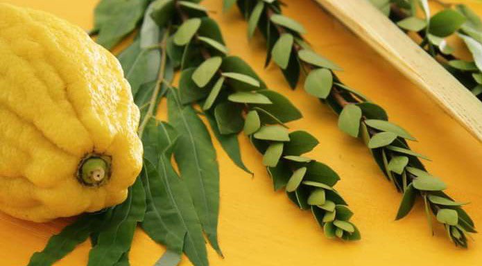 Wishing all of our Jewish students and staff @UCL a very happy and festive Sukkot, the Feast of Tabernacles. #ChagSukkotsameach! Sukkot celebrates the gathering of the harvest and involves building and decorating a Sukkah, a temporary hut with branches and leaves.