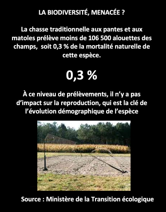 FrancAller_info's tweet photo. @PA_Cazau Dites, le #CampDuBien ?
Franchement ?
Vous êtes indécents 🤦♂️
#IlsSachentNousChassons
#Chasse #ChasseDurable #Écologie https://t.co/6YjZzVAMHw