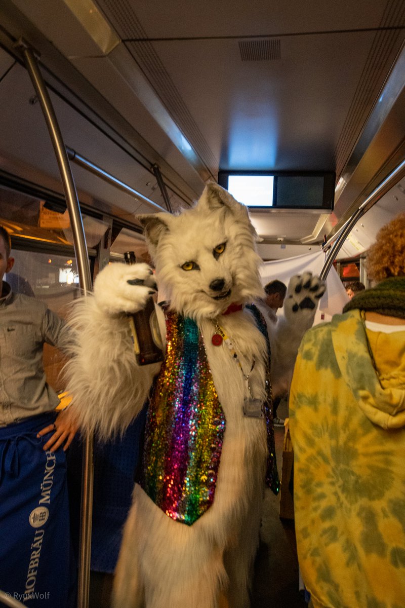 Happy #FursuitFriday in my @witlupus suit ✂️ @CopperSprite 📸 @RyuxWolf 🗓 15.10.2022 🚊 #Münchner #Furrytram 🏙 #München 🇩🇪 🎩 @muenchnerfurs #MVG #Furry #Tram #Straßenbahn #Party #Fursuit #Wolf #Munich #Hofbräu #Bier Follow my Berk-News (TG): t.me/Berk_News