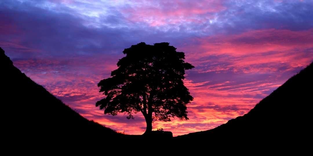 <a href="/chris_dlamini/">Christopher Z. Dlamini (PhD)</a> <a href="/DrDianeSimpson/">Dr Diane Simpson</a> <a href="/TamsinLG/">Tamsin Graham</a> <a href="/cutler_susan/">Susan Cutler</a> <a href="/paulajbednarz/">Paula Bednarz-Withers</a> <a href="/Karenteesphysio/">Karen Johnson</a> <a href="/GressmannMarie/">Dr Marie Gressmann</a> @dralanarmstrong @LiamRedden1 @Denisedye12 <a href="/MaryDunningTU/">Mary Dunning</a> <a href="/kayscott/">kayscott</a> <a href="/leannebriggsTU/">leanne briggs RNLD</a> @TUJohnF <a href="/StubbsEnya/">Enya Stubbs</a> Morning everyone. Reflecting on this today.