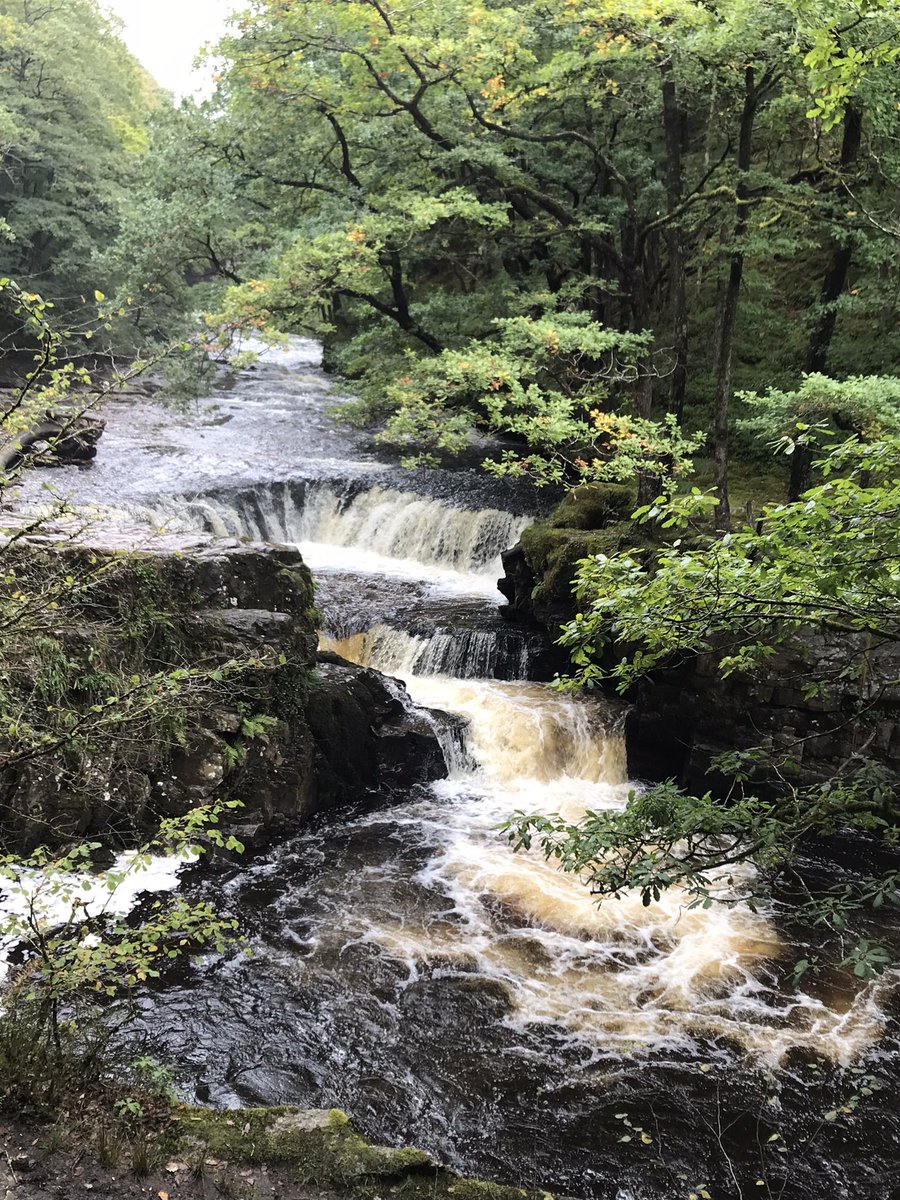 Chris Mainwaring (@mandry1961) on Twitter photo Another year older this week - maybe not wiser π.  What a way to celebrate visiting the Waterfalls in Glynneath.  Home to Max who also shares the same day π Another year older this week - maybe not wiser π.  What a way to celebrate visiting the Waterfalls in Glynneath.  Home to Max who also shares the same day π