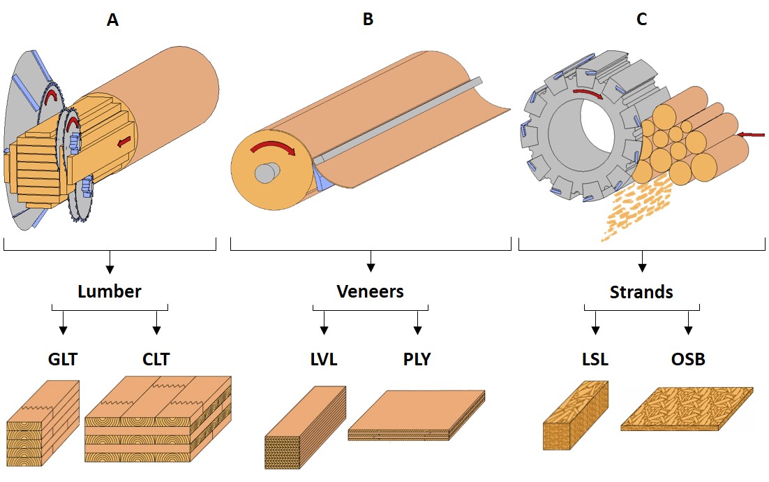 Max Pramreiter (@maxpramreiter) on Twitter photo How much wood do we need for 1m³ Cross Lamniated Timber? 🌲🌳
The answer to this question can be found in our Review, which was recently published in Sustainable Materials and Technologies (<a href="/ElsevierConnect/">Elsevier</a>).
Full text: authors.elsevier.com/a/1hqim_oNFNPs…
<a href="/BOKUvienna/">BOKU University</a>
<a href="/UCBerkeley/">UC Berkeley</a> How much wood do we need for 1m³ Cross Lamniated Timber? 🌲🌳
The answer to this question can be found in our Review, which was recently published in Sustainable Materials and Technologies (<a href="/ElsevierConnect/">Elsevier</a>).
Full text: authors.elsevier.com/a/1hqim_oNFNPs…
<a href="/BOKUvienna/">BOKU University</a>
<a href="/UCBerkeley/">UC Berkeley</a>