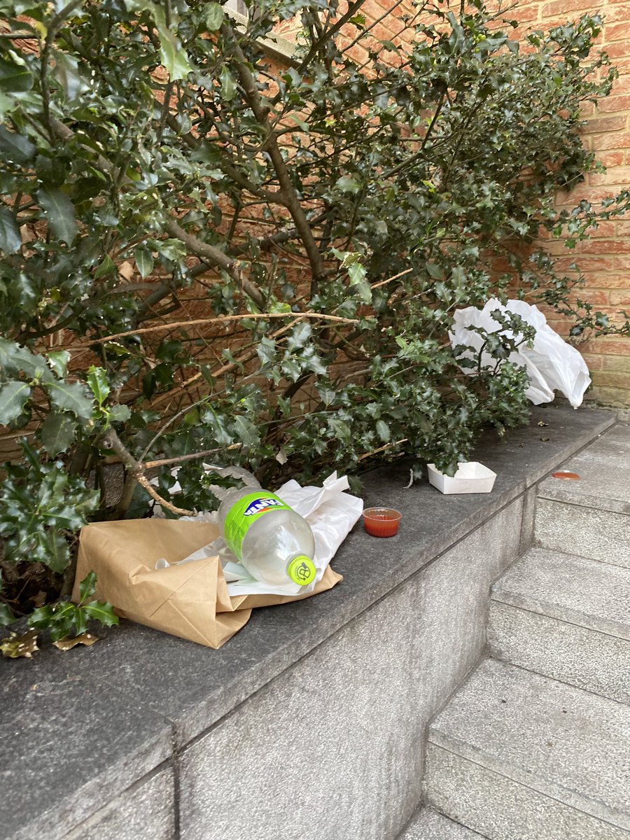 Goeiemorgen! Elke.dag.opnieuw. Vuil. Urine. Af en toe een knabbelende rat. Onze voordeur. <a href="/stadleuven/">Stad Leuven</a> geen handhaving en geen vuilbak te bekennen. En aangezien het vuil bovenaan de trap ligt neemt de ruimdienst het zelden mee.