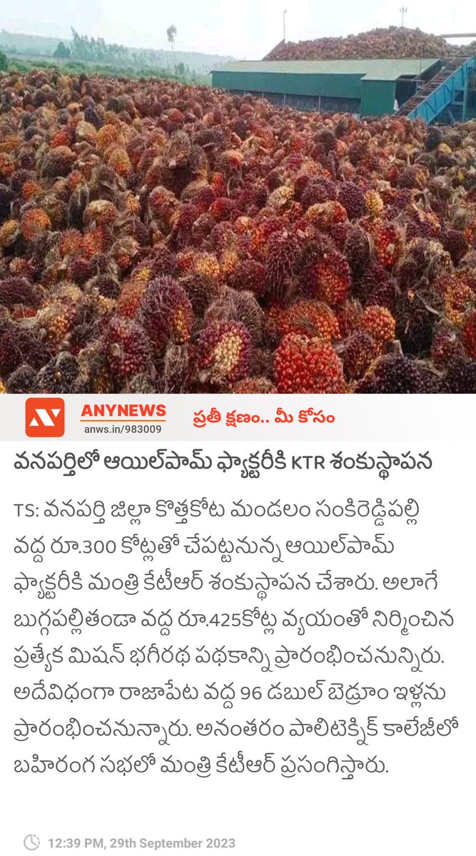 anynewstelugu's tweet image. వనపర్తిలో ఆయిల్‌పామ్‌ ఫ్యాక్టరీకి KTR శంకుస్థాపన anynews0.page.link/cpHHKgknX9zoJ2…

#OilFactory #Telangana #KTR #ANYNEWSAPP #anynewstelugu