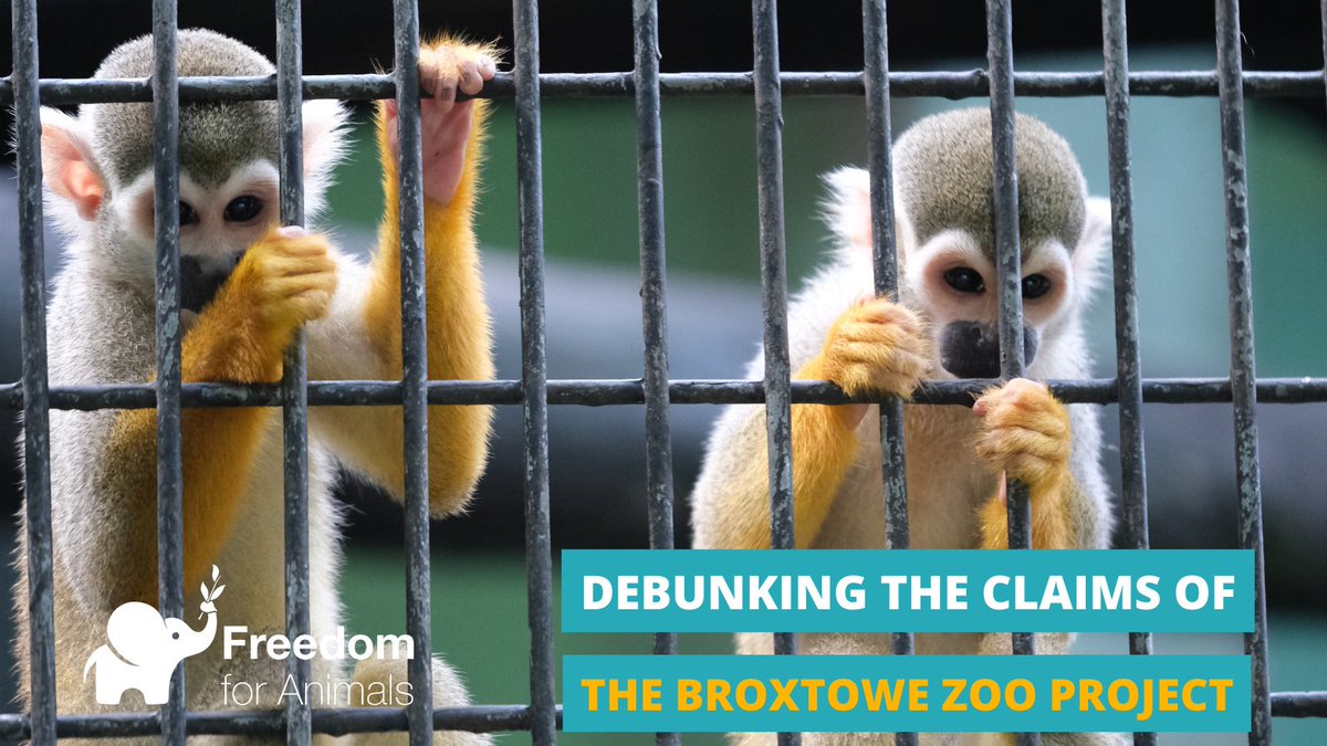 freeanimalsuk's tweet photo. Developers behind the new zoo in Trowell, Nottinghamshire are consistently sharing misleading claims to the public.

We decided to debunk some of those claims in a video, which can be viewed here: https://t.co/f8wyP4fX5g

#NZIT #NottinghamPost https://t.co/cf97xcBfJV