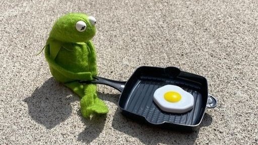 Froggo 🐸 tweet media