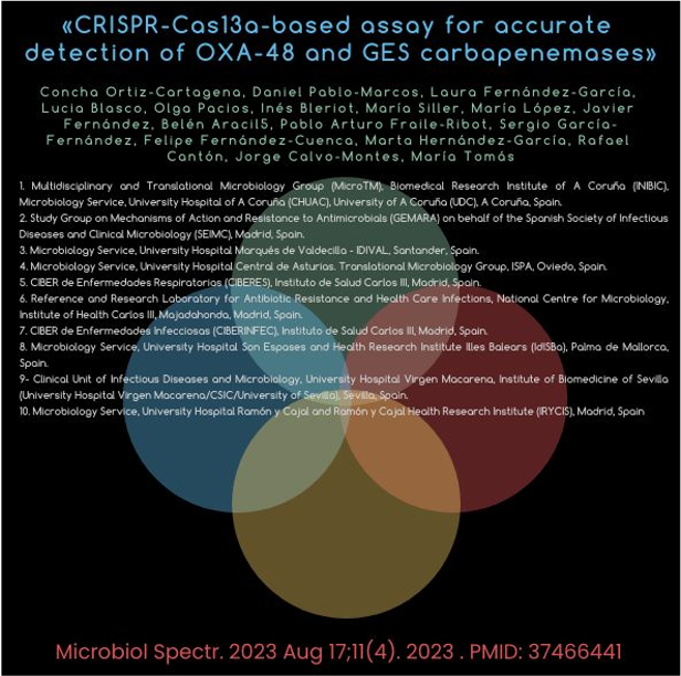 🩵👥Gracias @SEIMC_ por publicar en el boletín nuestro artículo CRISPR-Cas13a-Based Assay for Accurate Detection of OXA-48 and GES Carbapenemases @conchoc @DanielPabloM ➡️Sensibilidad y especificidad del 100 % para detección del gen blaOXA-48 y blaGES seimc.org/noticias/bolet… 👉