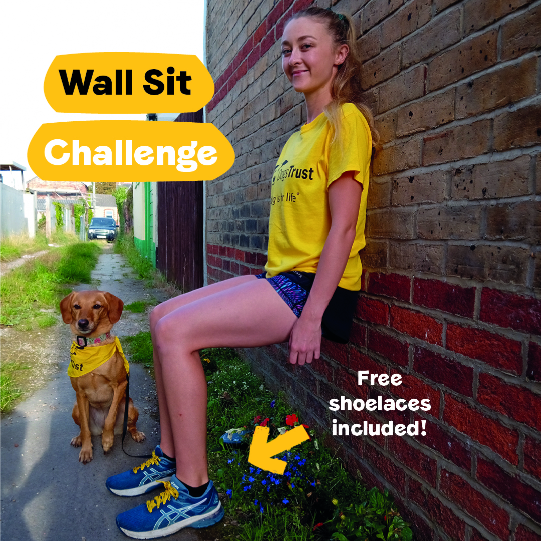 📣 Have you signed up to our Wall Sit Challenge yet? 📣 We are asking dog lovers everywhere to ‘Sit and Stay’ throughout October to raise money for our four-legged friends. The challenge starts this Sunday so make sure you sign up now! bit.ly/3r90fiP