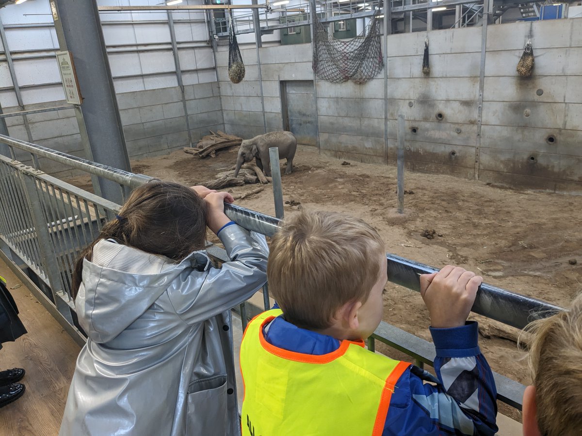 AppleySaintsCE's tweet photo. #ABASY1 had a wonderful day at Blackpool Zoo! The children saw lots of animals up close. Some of our favourites were the lions, giraffes, elephants and penguins. #ABASsci @FriendsPrimary @WN6_Mums @appley_b @BlackpoolZoo @CidariEducation @StandishVoice @champnews @ShevCommunity https://t.co/j7I2atPqd6