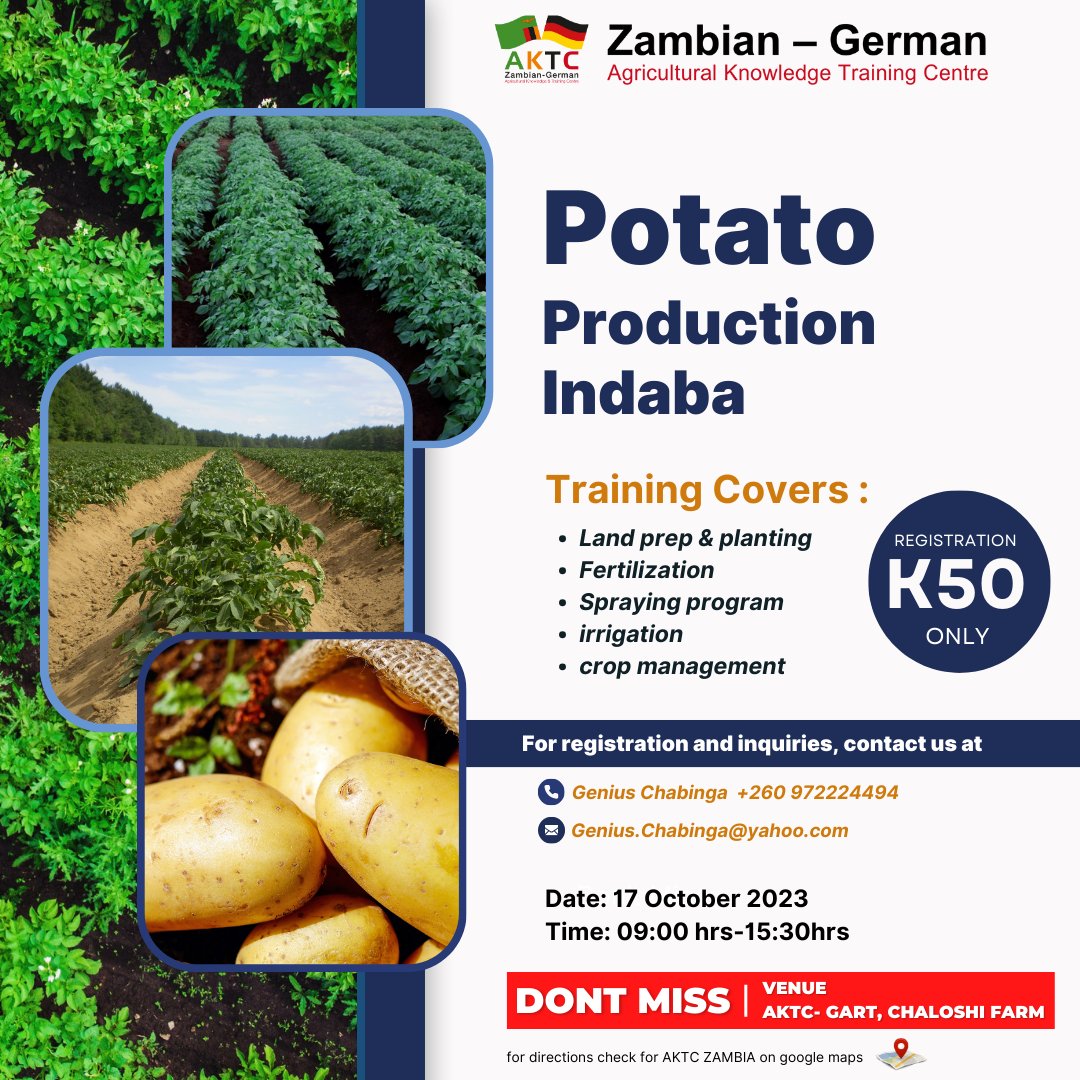 AKTC_Zambia's tweet photo. π₯π± Unearth the secrets of successful potato farming!
Join us on Oct 17, 2023, at AKTC-GART Chaloshi Farm for a Potato Indaba. K50 per person! Boost your potato harvest and embrace sustainable agriculture. Don't miss out β register today! π
#PotatoIndaba #Farming @Buya_Bamba https://t.co/Ns1Bb5INUm