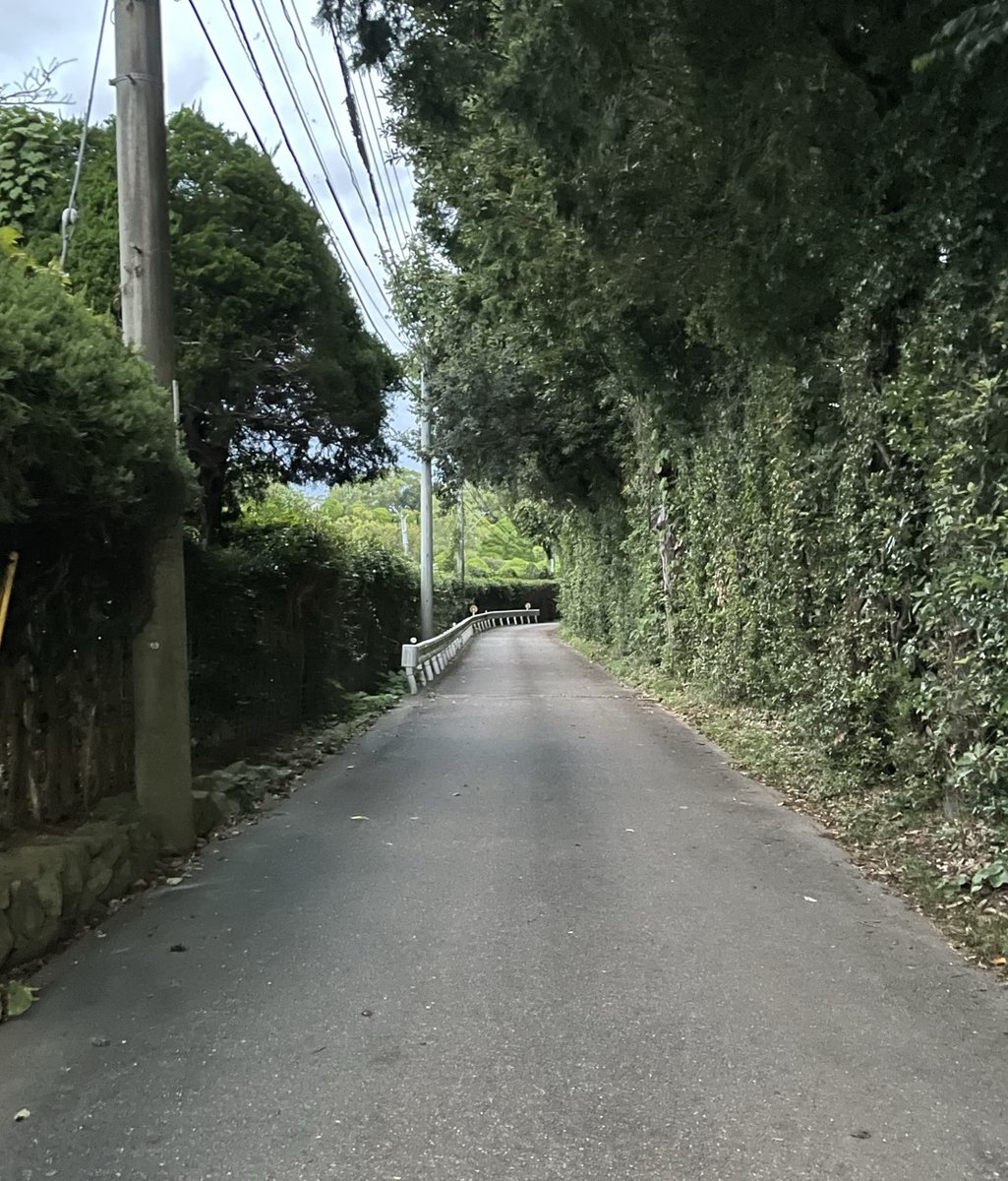 rinth🍀 tweet media