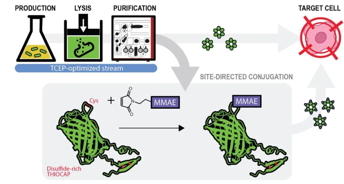 IQAC_CSIC's tweet photo. 📊#IQACpapers: "Site-directed cysteine coupling of disulfide-containing non-antibody carrier proteins (THIOCAPs)", published in @sciencechinap

By researchers from @IIBSantPau, @CarrerasIJC, @CIBERBBN, @IQAC_CSIC and @UABBarcelona 

👉 https://t.co/hKXEbnw3X7 https://t.co/FX7jb5OBsE
