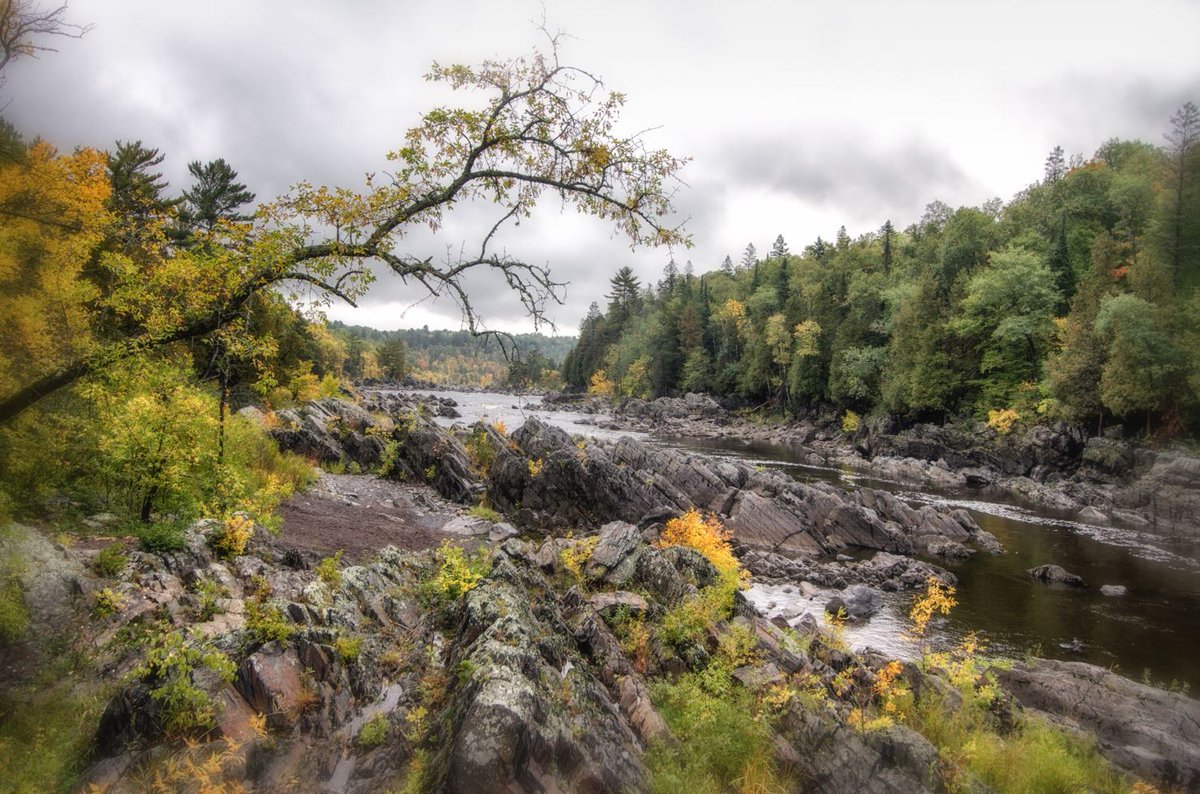 SHB_Photography's tweet photo. More photo fun from our recent adventure to Jay Cooke State Park in Carlton, MN.
#ScottBerglundPhotography #Photography #Nature #Minnesota #StatePark #MinnesotaStatePark #FallColors #JayCooke https://t.co/b5yzepliRk