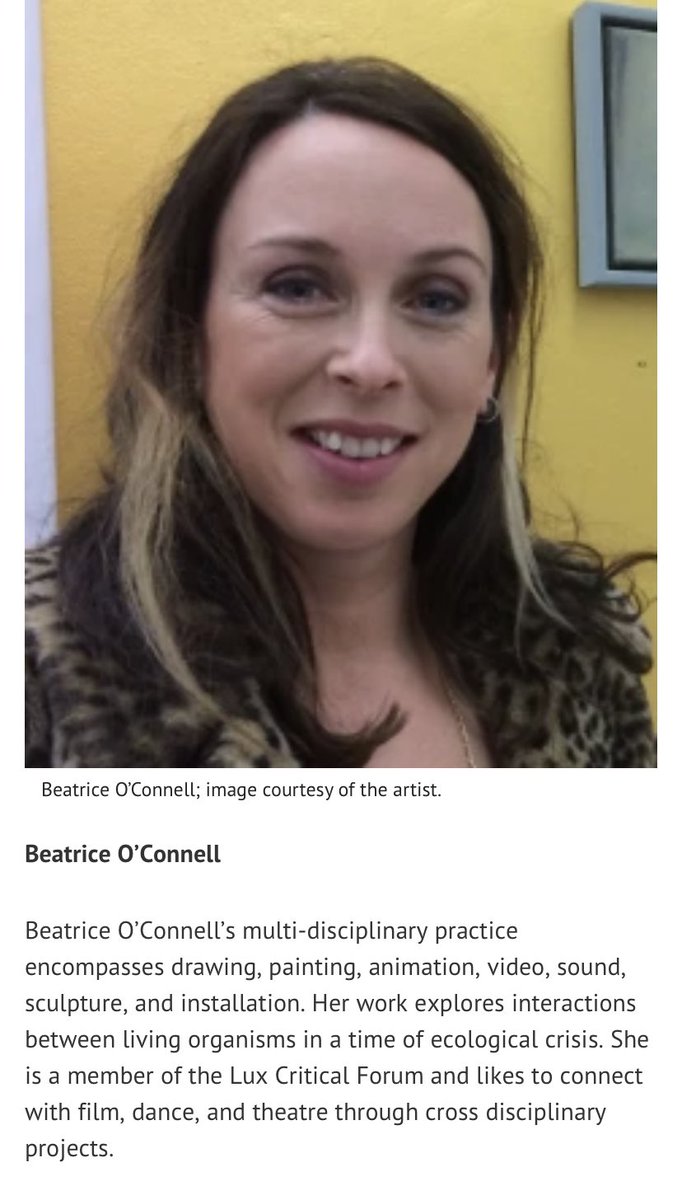 Thank you to <a href="/VisArtsIreland/">VisualArtistsIreland</a> for inviting me to present at the Artists Speak talk this afternoon online as part of the VAI Get Together 2023 #visualartistsireland #visualartspractice #irishart #multidisciplinaryart #painting