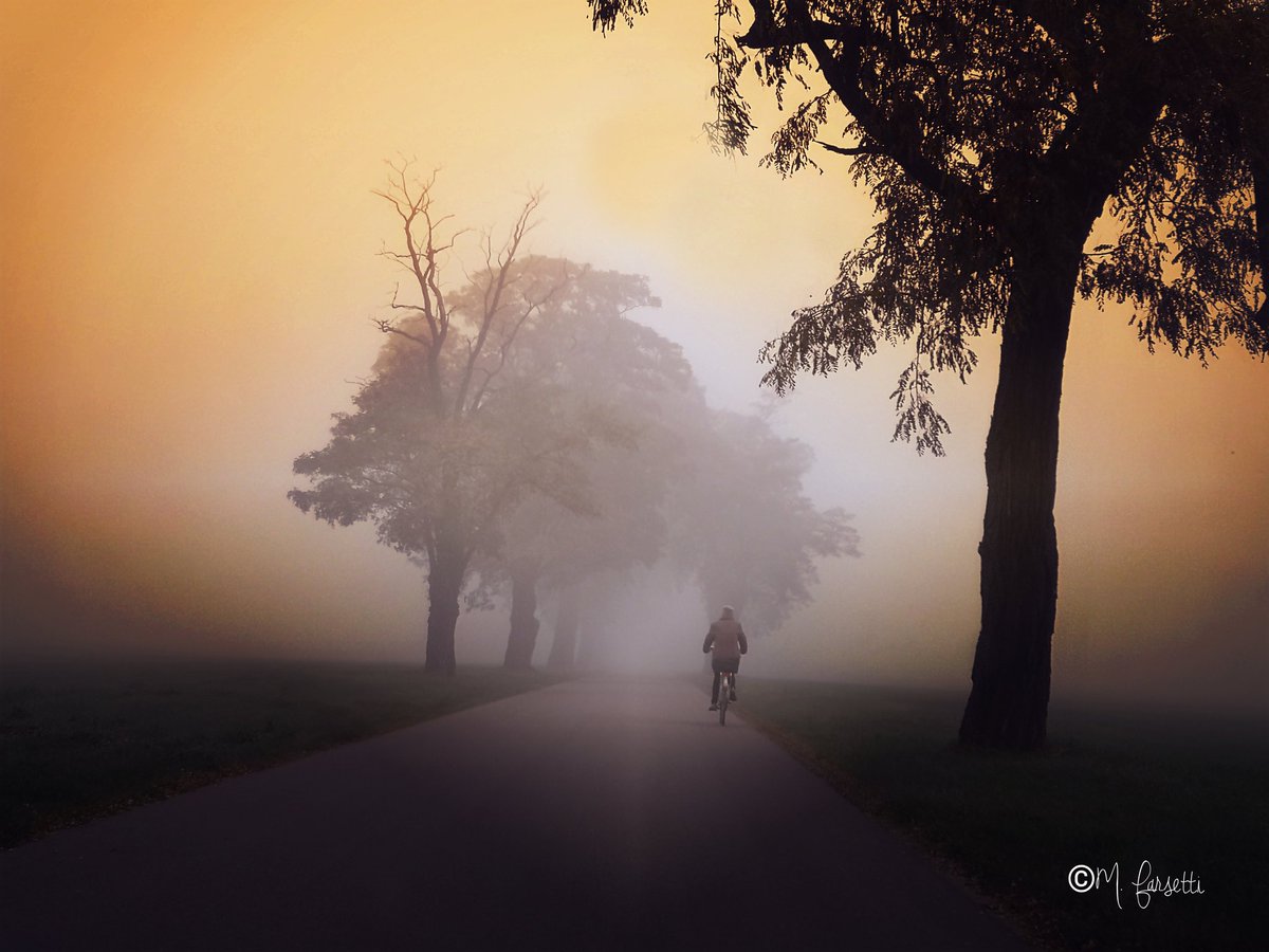 È l’incertezza che affascina. La nebbia rende le cose meravigliose.
Oscar Wilde
#autumn #autunno #jesień #nature #misty #outdoor #nebbie #mgły #road #bicycle #man #Poland #Polonia #Polska #Huawei #huaweiphotography #myvision