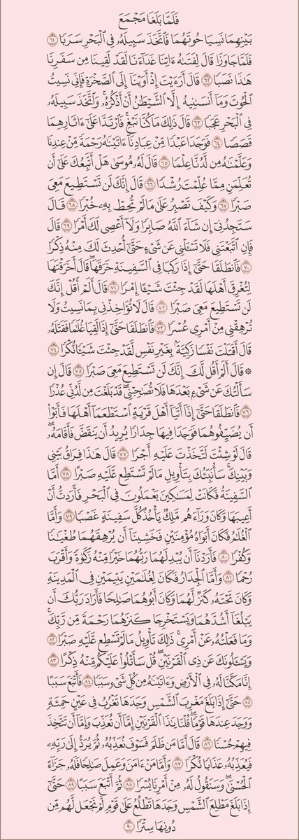 daisydailly's tweet photo. سورة الكهف🪷✉️ https://t.co/reynmdYq5M