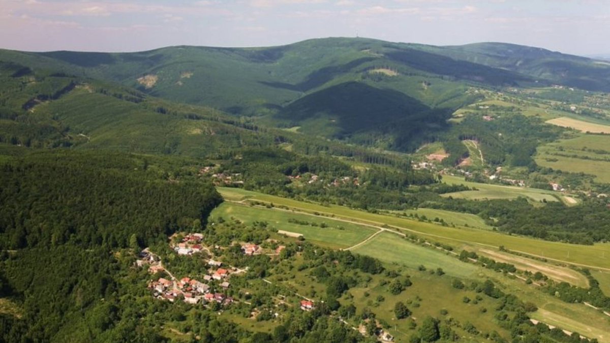 RausDaniel's tweet photo. Tohle je jednou za život - nebo vůbec. Silný příběh v Ranní úvaze: https://t.co/LR3J6zc7zj https://t.co/bOImPxRDh5