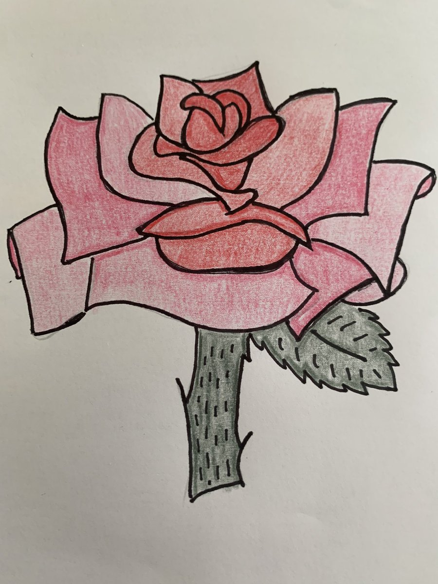 hayleyrainbow25's tweet photo. #rose #artistherapy #artismedicine #Pencildrawing #marker #pencilcrayon #youareloved #roselips https://t.co/EF0T2AJx7f