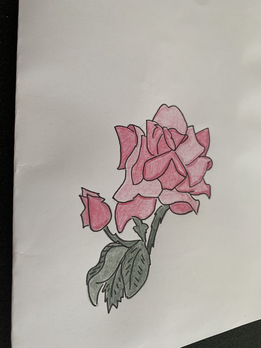 hayleyrainbow25's tweet photo. #rose #artistherapy #artismedicine #Pencildrawing #marker #pencilcrayon #youareloved #roselips https://t.co/EF0T2AJx7f