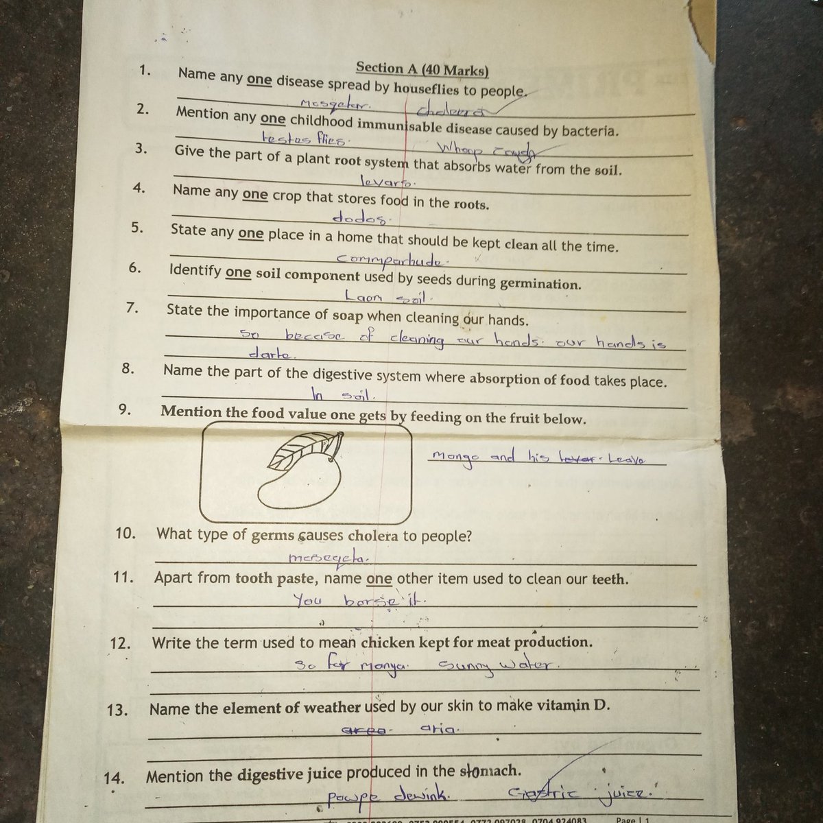 Wano tr yalide kawewevu