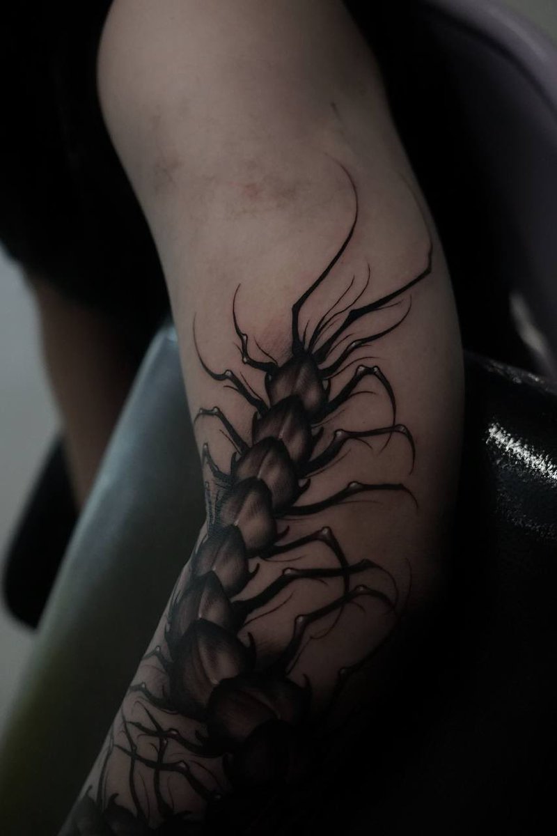 southgatetattoo's tweet image. • Centipede • 
Freehand piece by our resident @oscar.tttst_ 
Books are open for November with Oscar! 
Get in touch! 

#centipede #centipedetattoo #freehandtattoo #southgatetattoo #sgtattoo #londontattoo #london #uktattoo