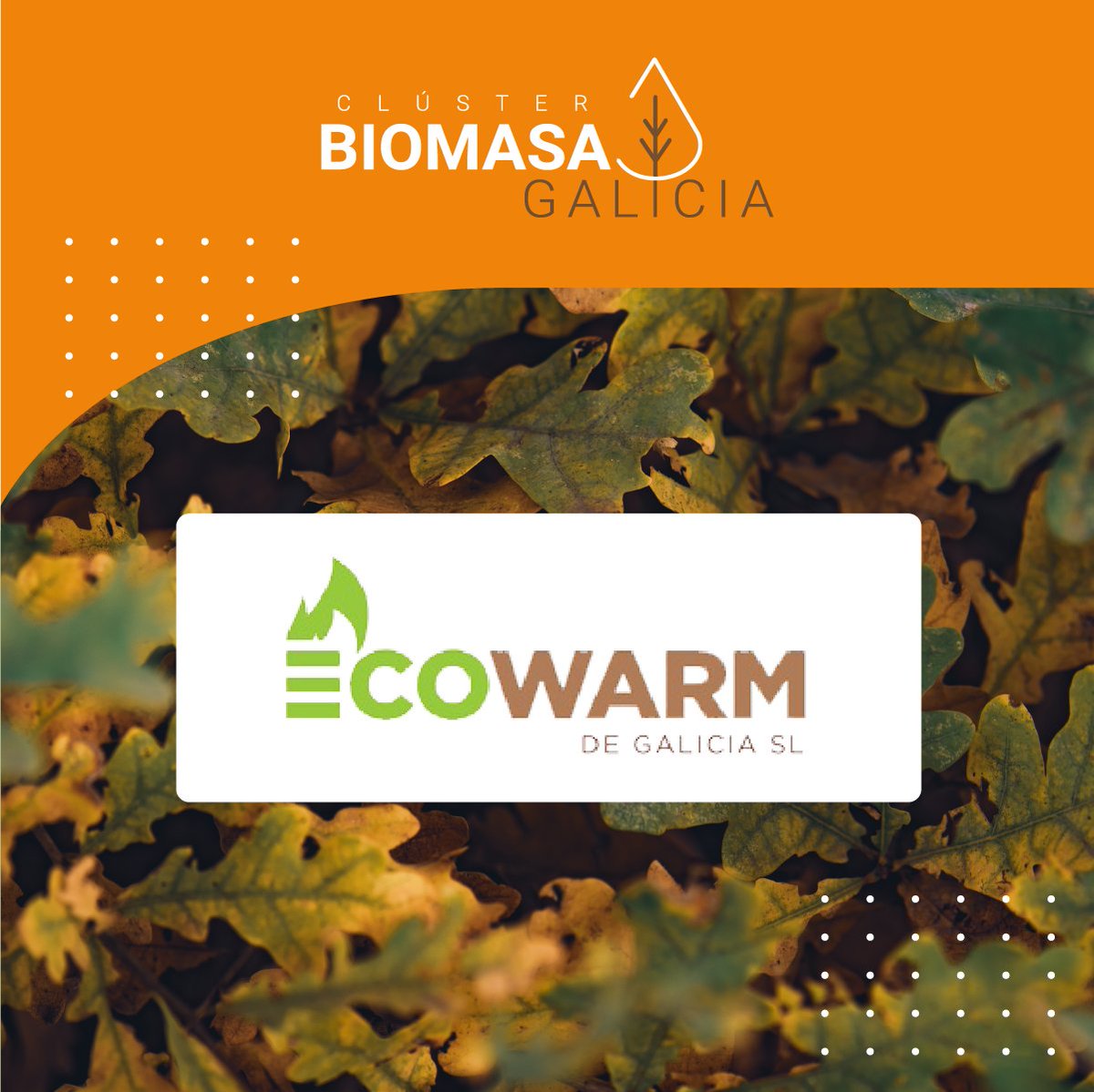cluster_biomasa's tweet photo. 🚩 Ecowarm (@PelletsPremium), socio do #ClústerBiomasaGalicia, foron pioneiros a nivel europeo na elaboración de biocombustibles sólidos

A súa marca Vagalume Pellets de Madeira está presente en todo o territorio nacional e ten proxección internacional

ℹ️ https://t.co/koMtZb5Oaz https://t.co/jnAhkJgTaz