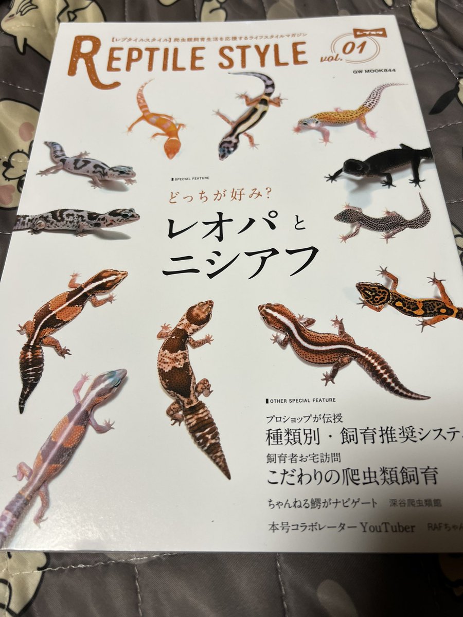marshallbiyoyon's tweet photo. レプタイルスタイルみたー
フォロワーさん達の子がいっぱいいた！
是非このシリーズは続けてほしい😊
＃レプタイルスタイル　＃REPTILESTYLE
＃レオパ　＃ニシアフ https://t.co/CZMzaqBLCF