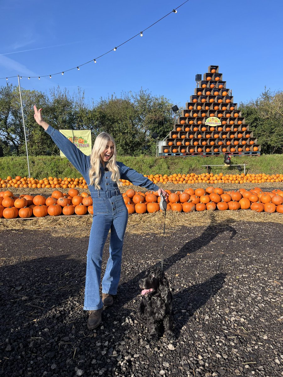 Daisy Payne (@gardentogarnish) on Twitter photo Bringing the GOURD vibes on the show today!!! Ernie & I will see you soon on <a href="/thismorning/">This Morning</a> 🎃🎃🎃🎃 Bringing the GOURD vibes on the show today!!! Ernie & I will see you soon on <a href="/thismorning/">This Morning</a> 🎃🎃🎃🎃