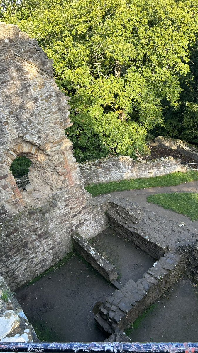 darren whiteley tweet media