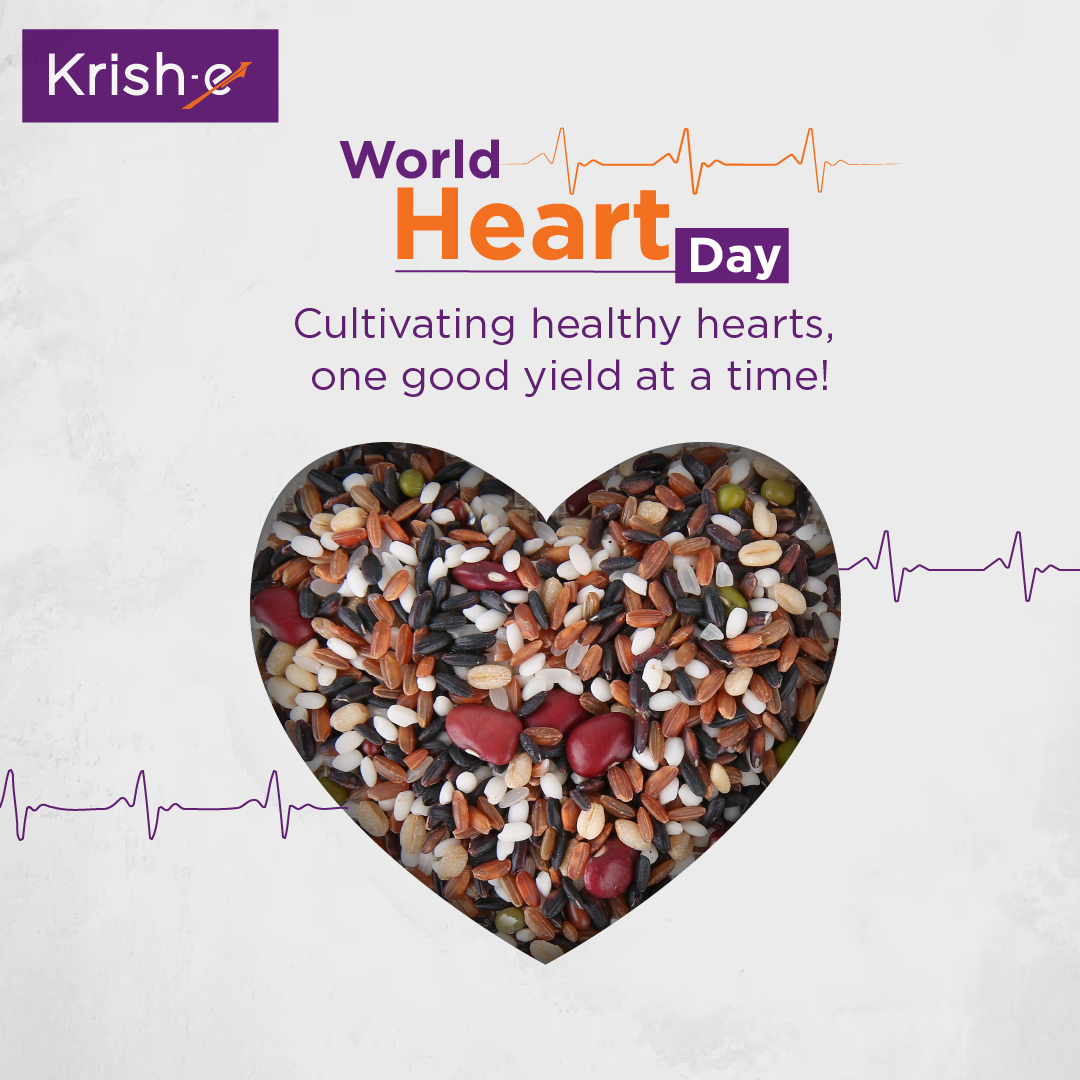 KrisheFarming's tweet photo. On this World Heart Day, Krish-e reaffirms its commitment to promoting heart-healthy living through conscious farming practices. Together, we grow a future where heart health blooms.

#HolisticHealth #HeartAwareness #FarmToTable #HeartDiseasePrevention  #worldheartday https://t.co/V81vj5V0Cw